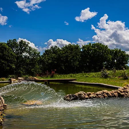 Apartament D'exception Avec Jacuzzi Prive I Montlucon I Auvergne Premilhat